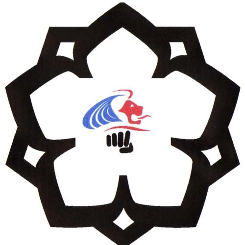 Logo du RCAKJ